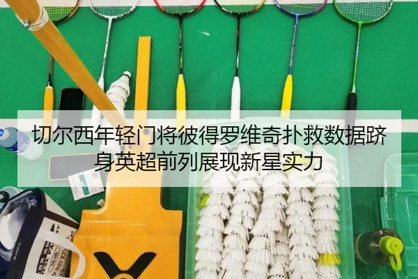 切尔西年轻门将彼得罗维奇扑救数据跻身英超前列展现新星实力